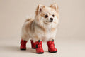 Elite Pets Winter Dog Boots
