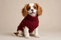 Elite Pets Winter Dog Sweater
