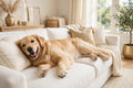 Elite Pets Portable Paw Washer